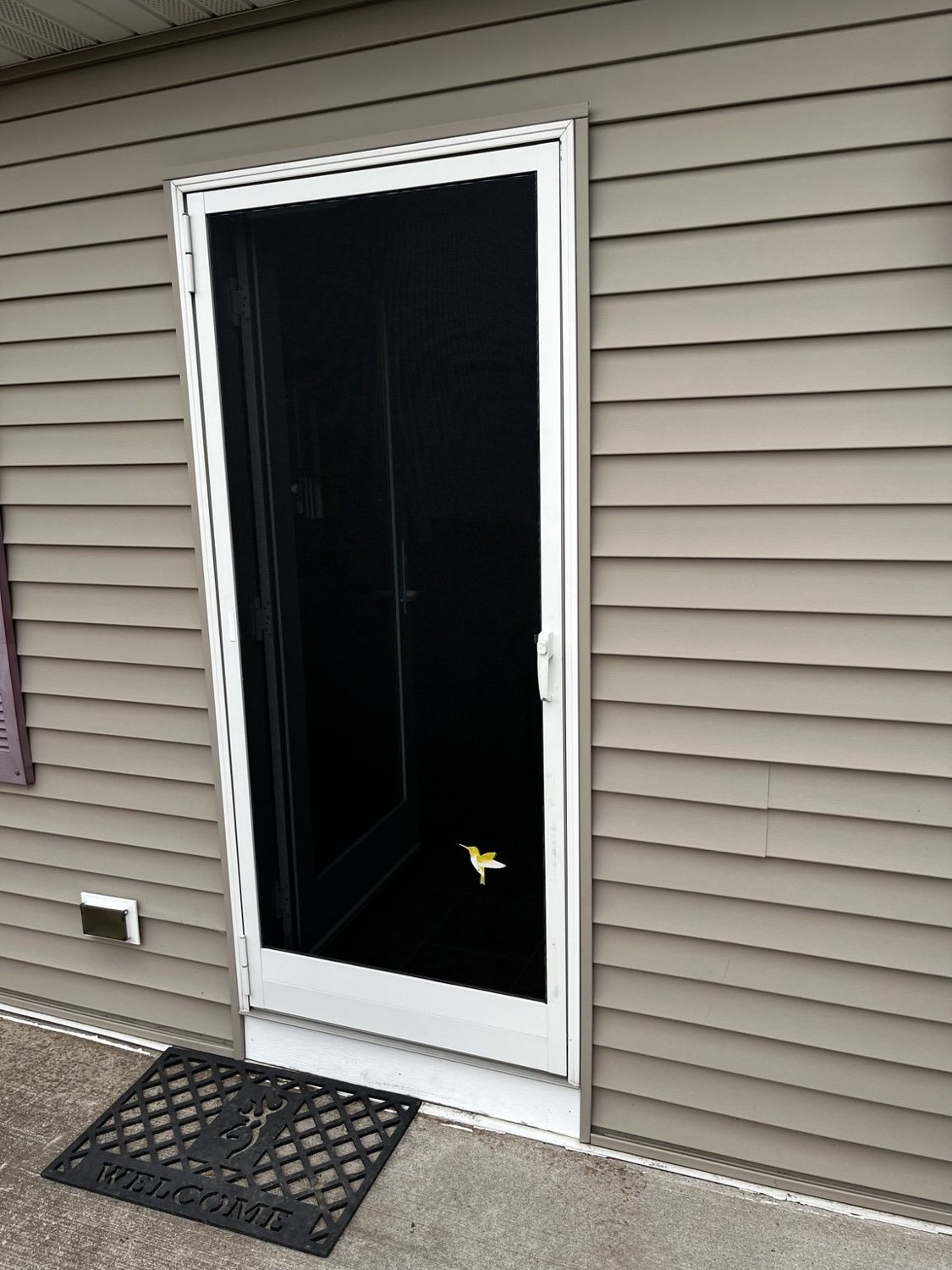 After: Entry Screen Door