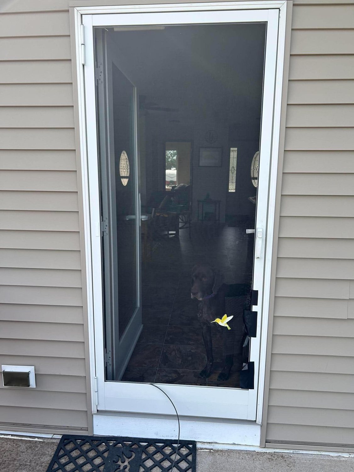 Before: Entry Screen Door